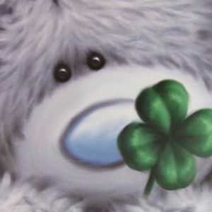 Meet your Posher, Ann